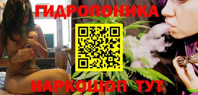 прущие грибы Славянск-на-Кубани