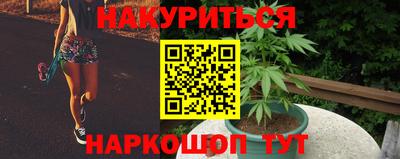 прущие грибы Славянск-на-Кубани