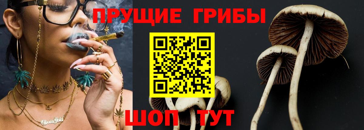 Псилоцибиновые грибы Psilocybine cubensis  Вход с VPN  Новотроицк 
